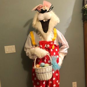 Bunny Costume